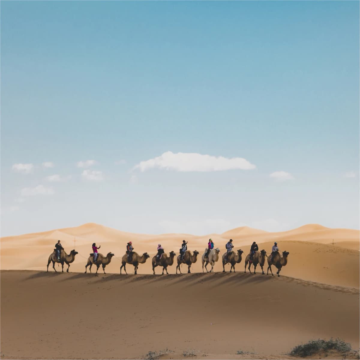 destination photo